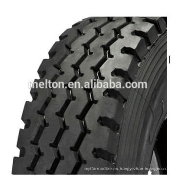 13R22.5 315 / 80R22.5 neumático radial del camión DSR188 marca famosa